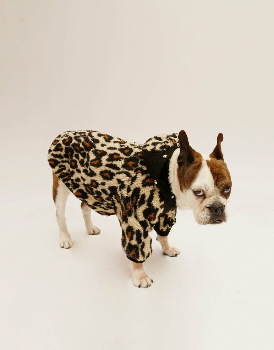 Women * | Trippnyc.Com Women Leopard Dog Jacket Nat Leopard