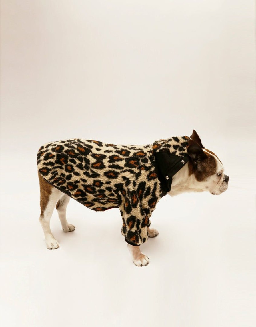 Women * | Trippnyc.Com Women Leopard Dog Jacket Nat Leopard